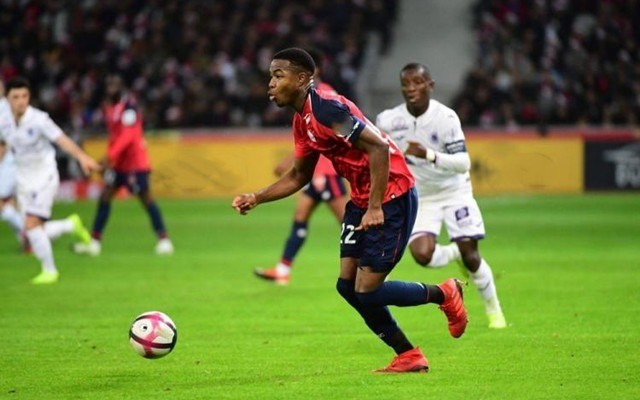 发挥了拳拳 发挥了拳拳